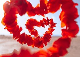 Petals in Heart Shape on Sand